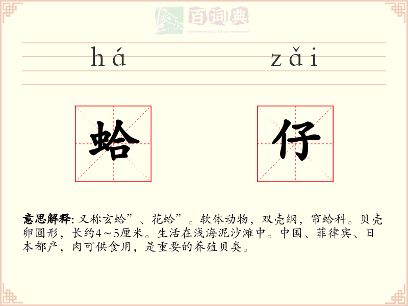 蛤仔