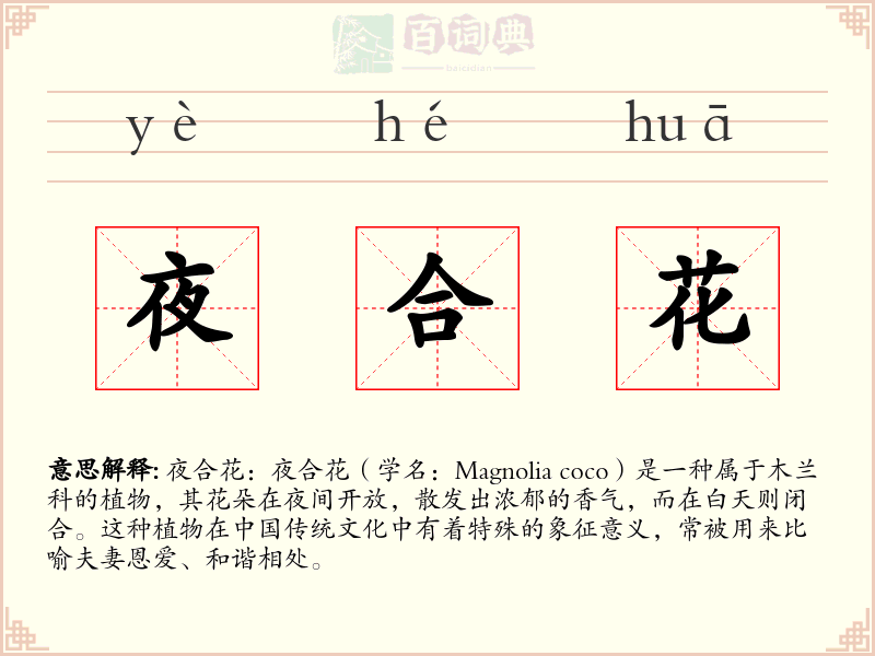 夜合花