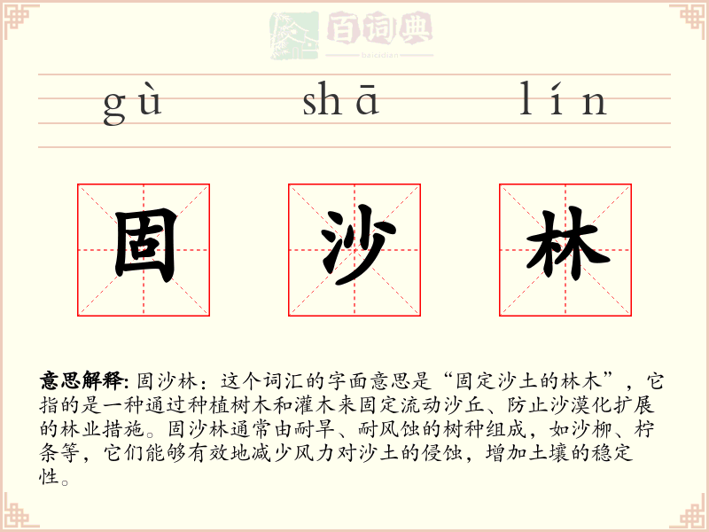 固沙林