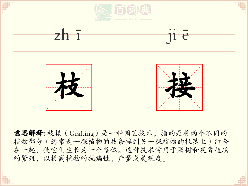 枝接