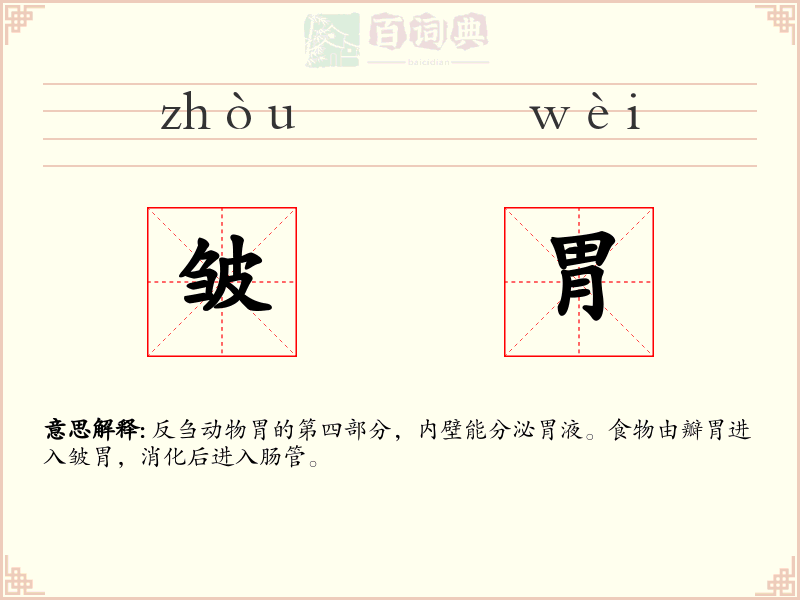 皱胃