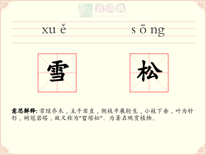 雪松