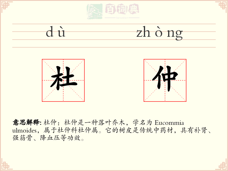 杜仲