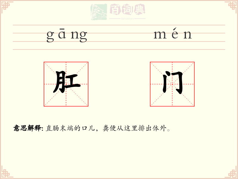 肛门