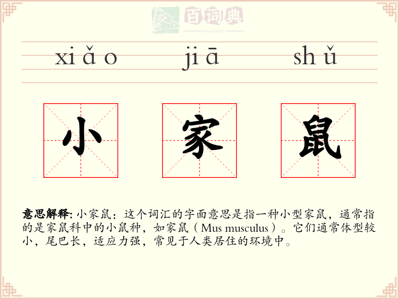 小家鼠