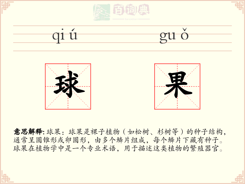 球果
