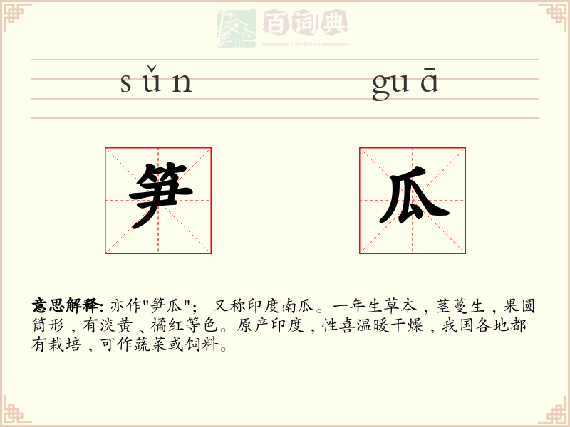 笋瓜