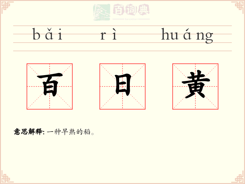 百日黄