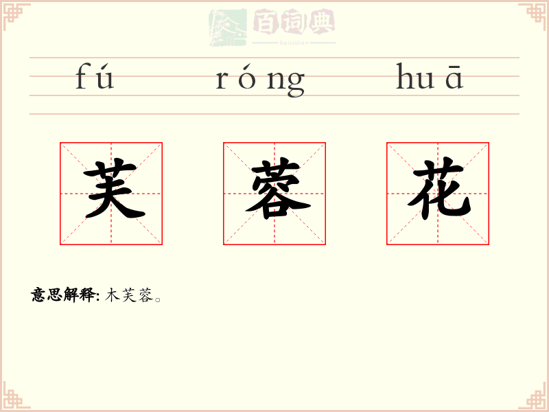 芙蓉花