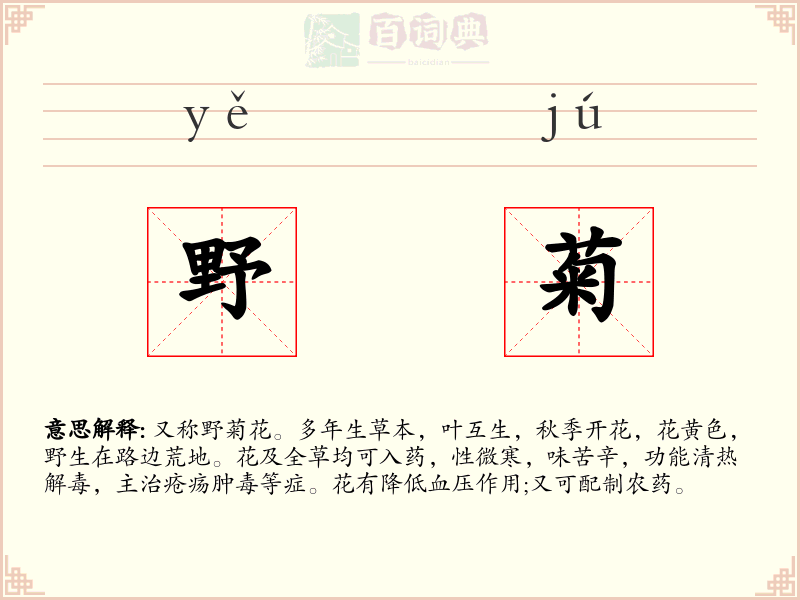 野菊