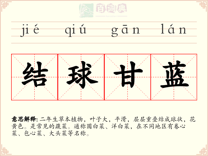 结球甘蓝