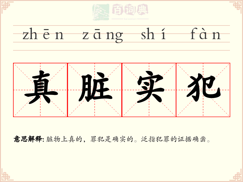 真脏实犯