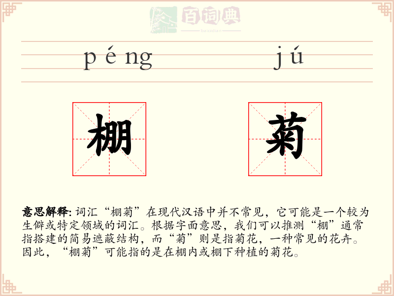 棚菊