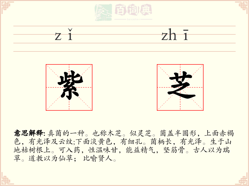 紫芝