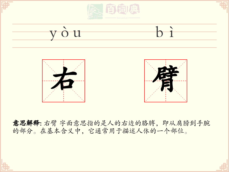 右臂