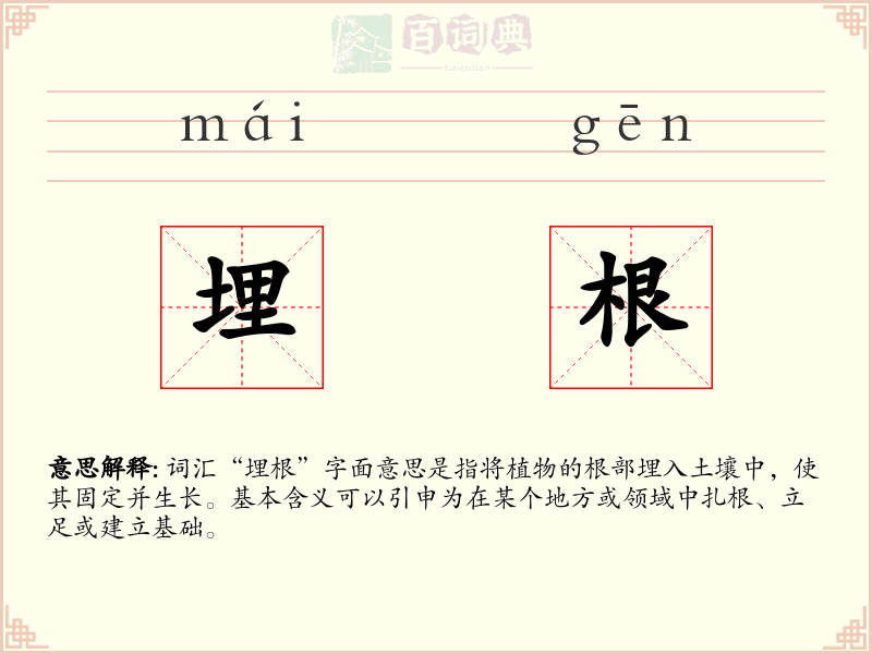 埋根