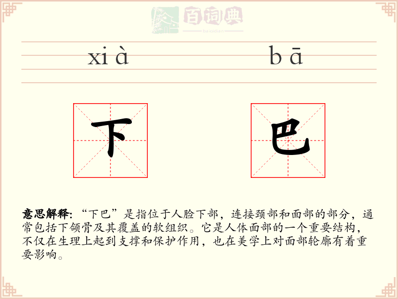 下巴