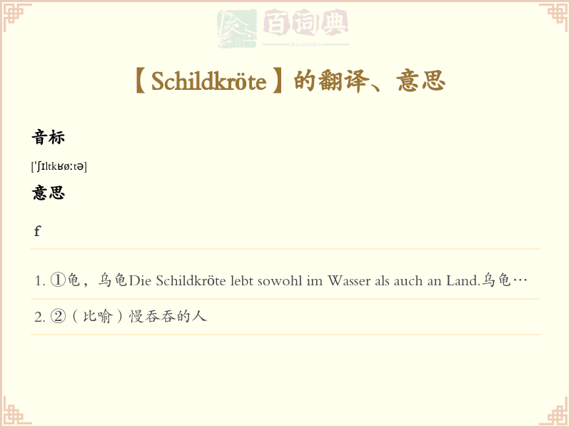 Schildkröte