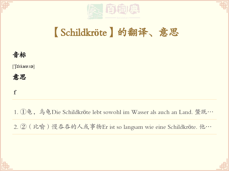 Schildkröte