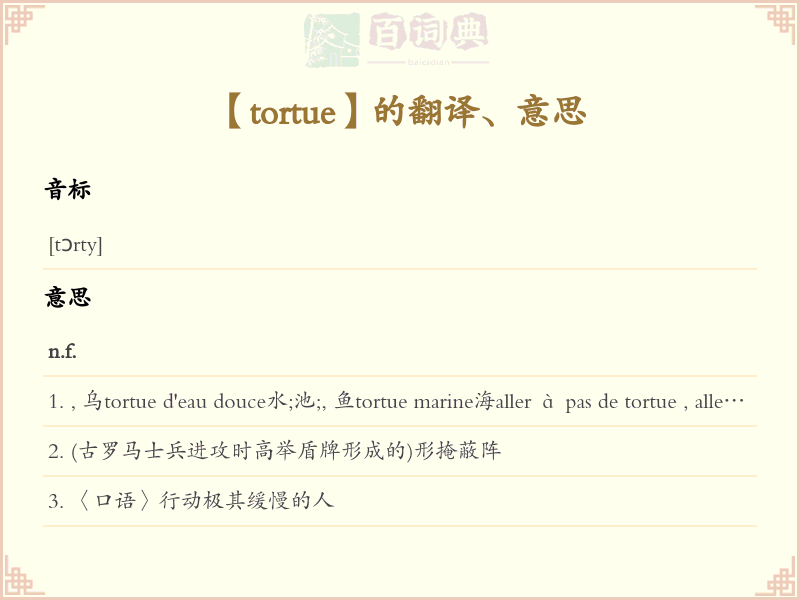 tortue