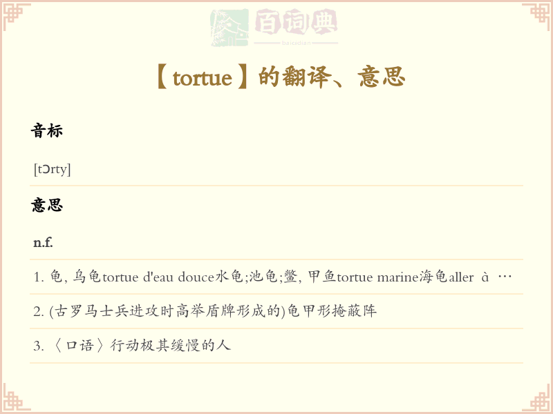 tortue