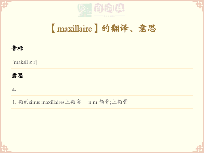 maxillaire