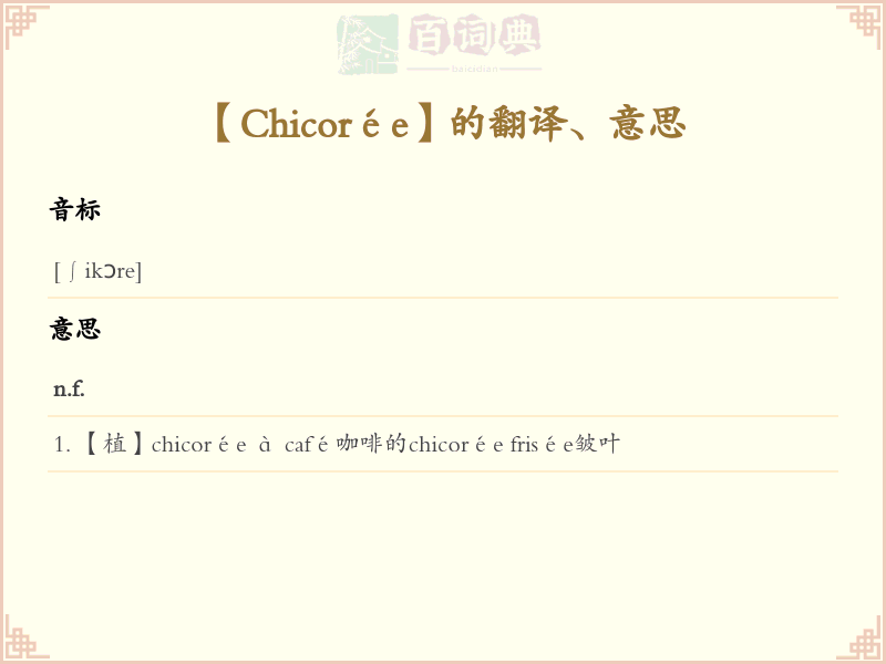 Chicorée
