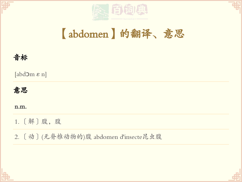 abdomen