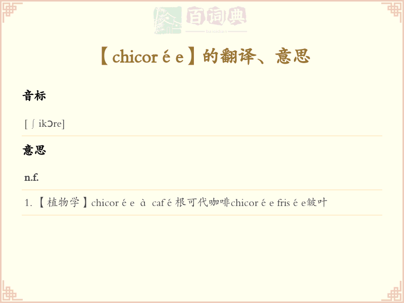chicorée