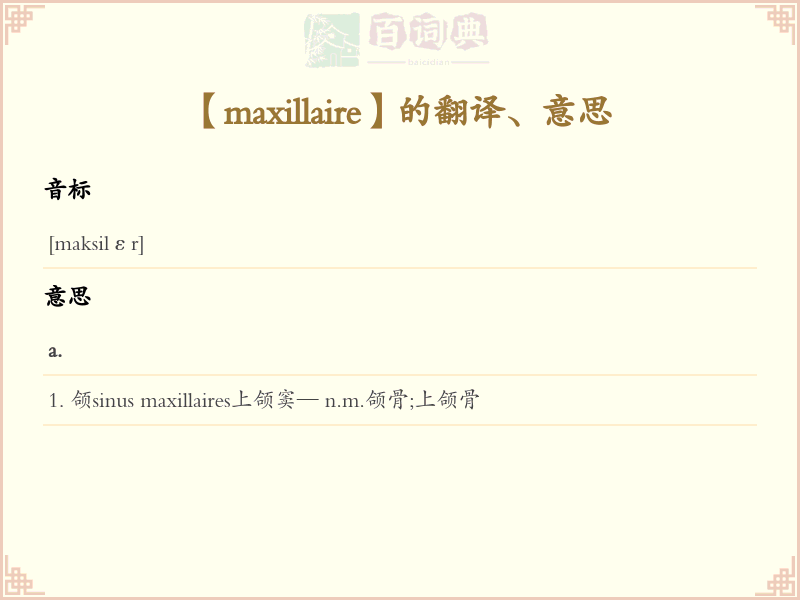 maxillaire