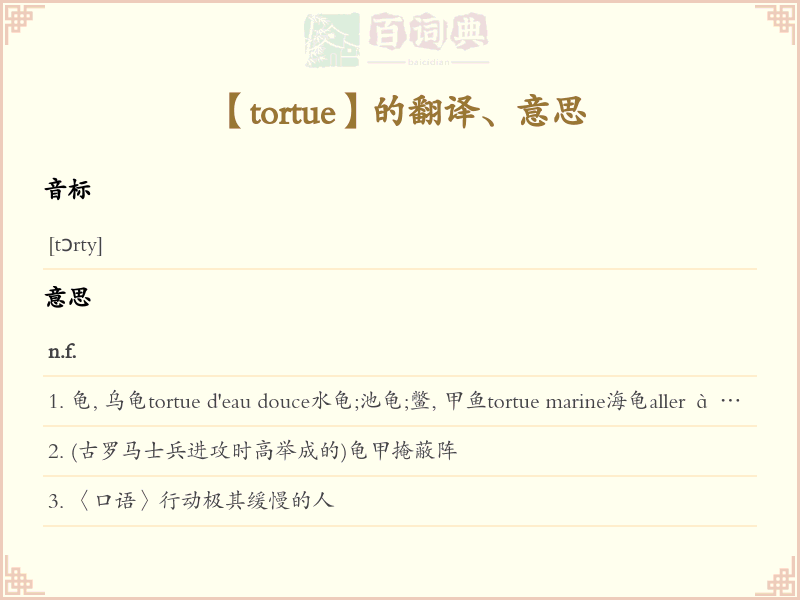 tortue