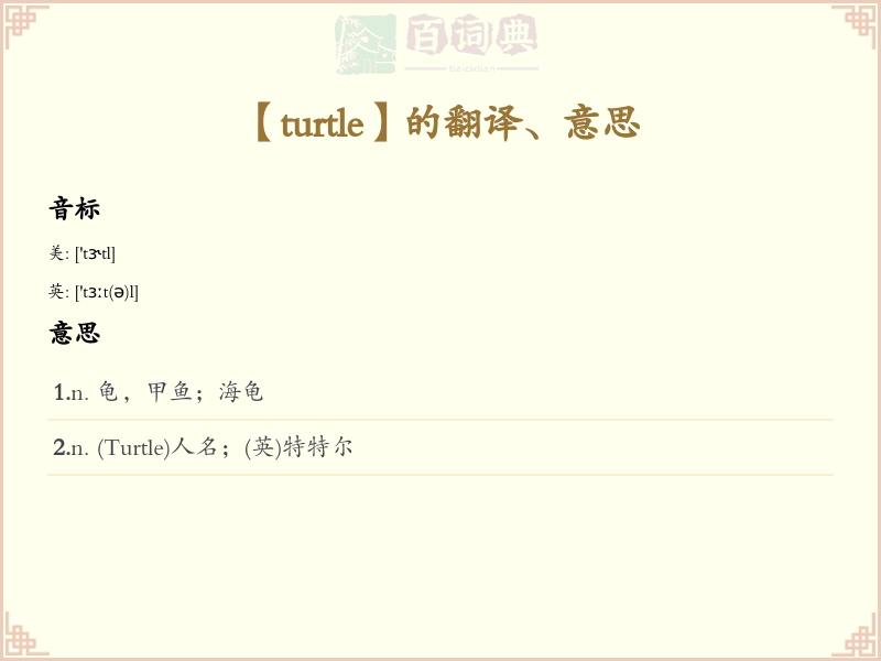 turtle