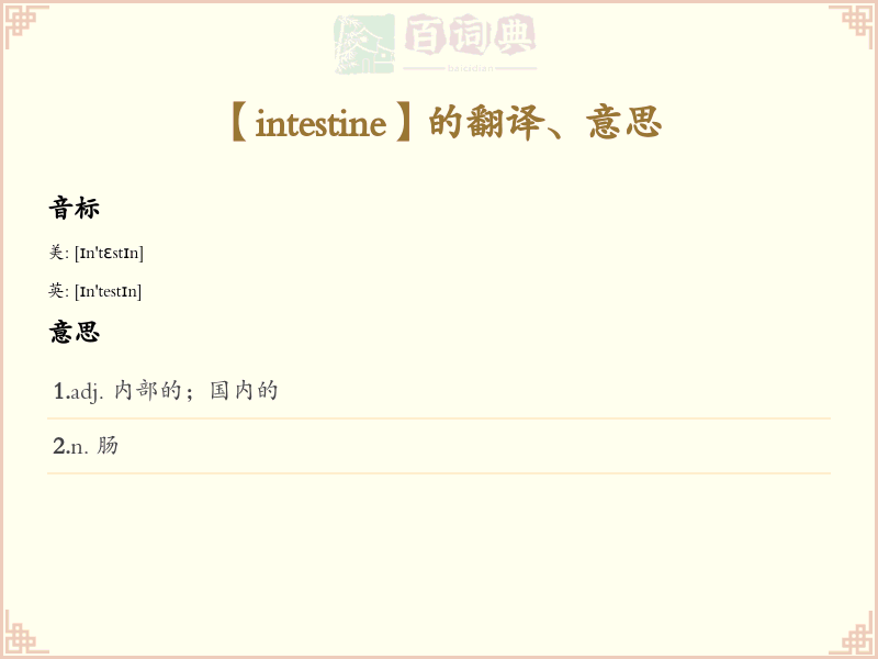 intestine