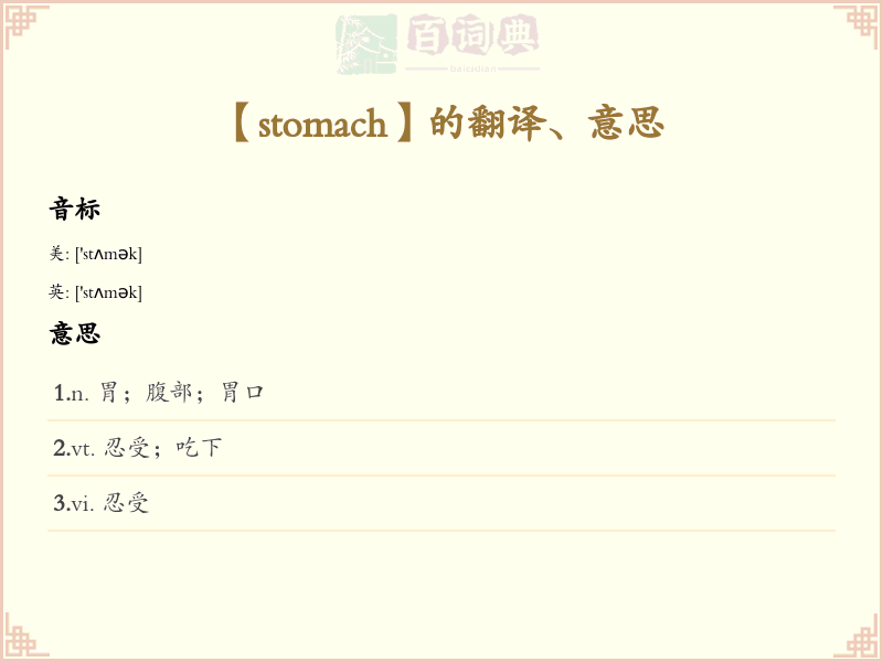 stomach