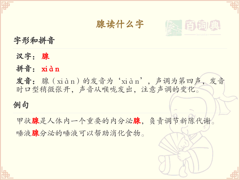 腺的拼音及中文解释_腺字读音详解