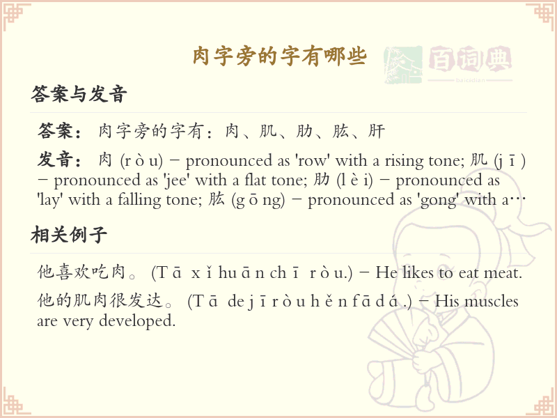 肉字旁的汉字有哪些_肉字旁的字