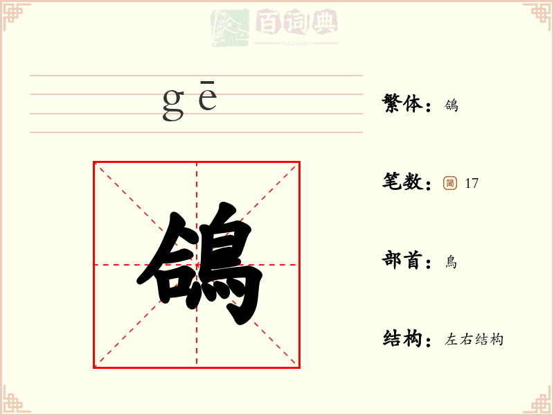 鴿