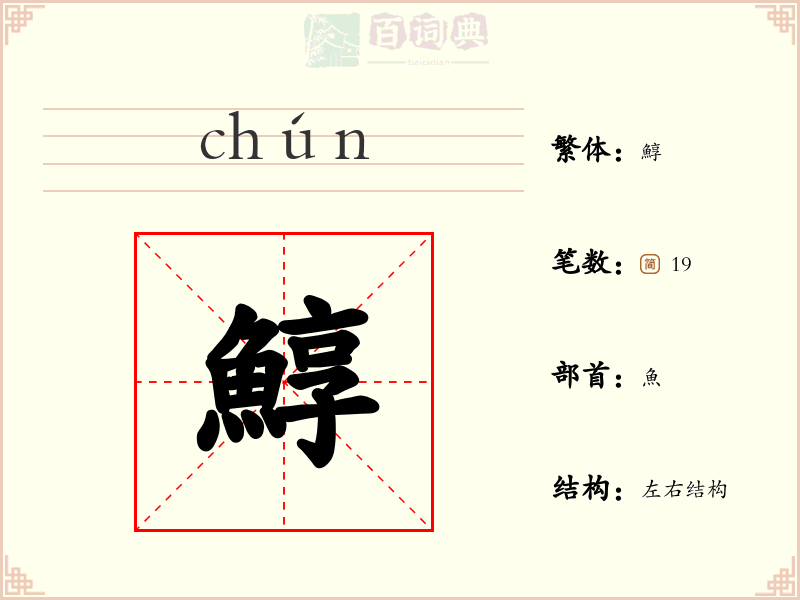 鯙