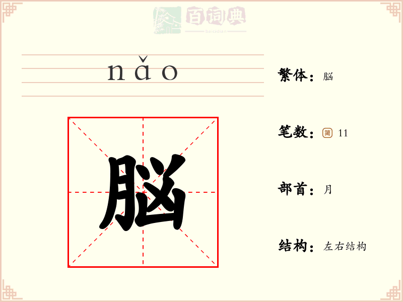 脳
