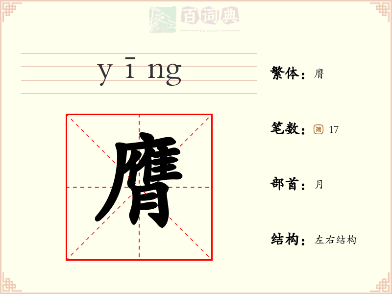 膺