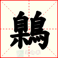 鷍