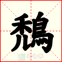 鵚