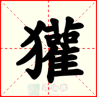 獾