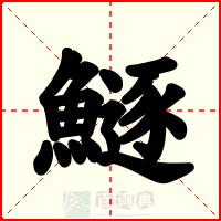 鱁