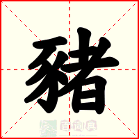 豬