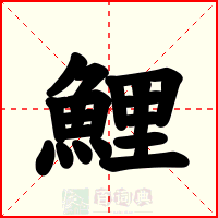 鯉