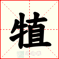 犆