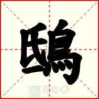 鴟