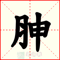 胂