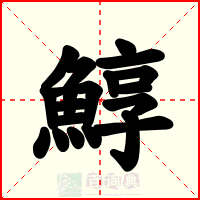 鯙